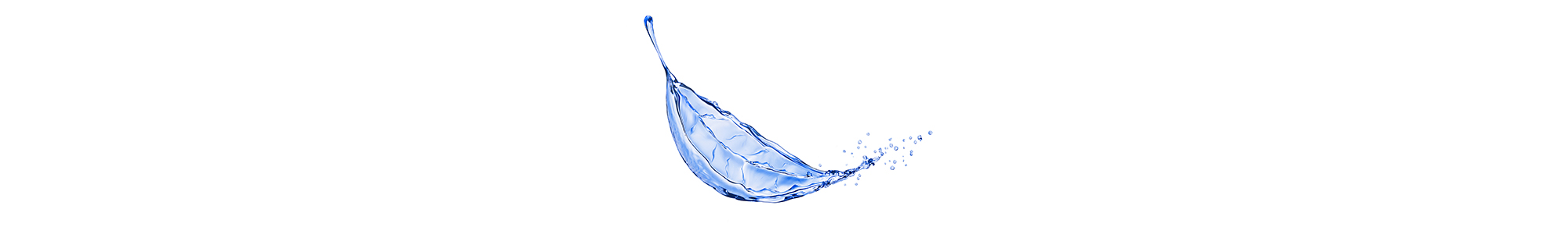 Water splash in the form of a leaf of a tree, isolated on white background